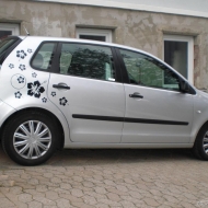 Polo  von Polo1987
