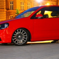 Polo  von Schmusemaus123