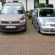 Polo  von silversky