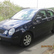 Polo  von skyline07