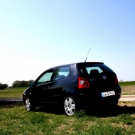 Polo  von Sleepwalker