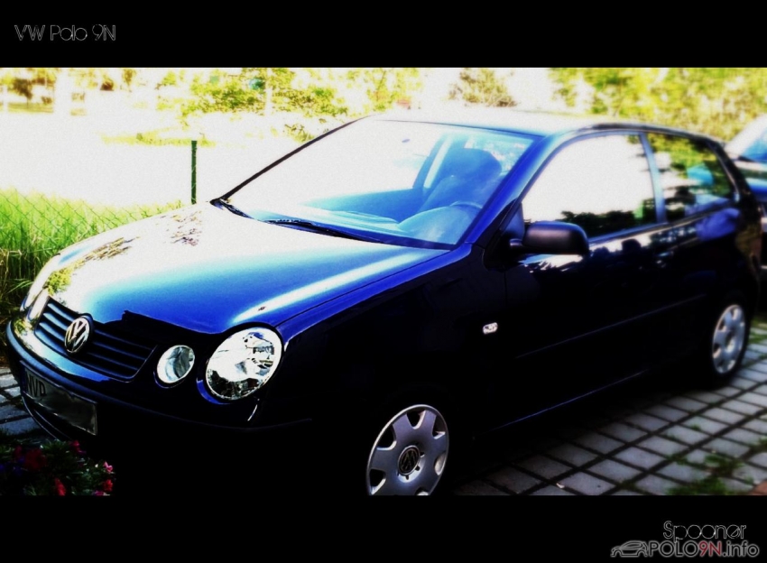 Mein Polo
