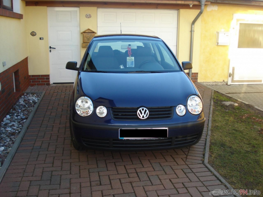 Mein Polo