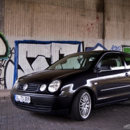 Polo  von timstar89