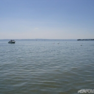 Polo-Treffen am Bodensee in Bodensee von Alte Treffen-Galerie