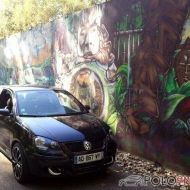 Polo von Volksaudi Freakz