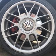 Profilbilder von abbi