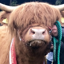 Mitglieder-Profil von Abrafax(#36203) - Abrafax präsentiert auf der Community polo9N.info seinen VW Polo