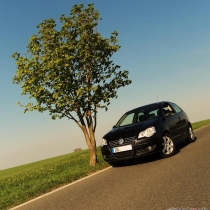 Mitglieder-Profil von AGGI(#18675) aus Dresden - AGGI präsentiert auf der Community polo9N.info seinen VW Polo