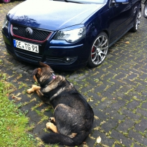 Mitglieder-Profil von aufdrain(#20415) aus Attendorn - aufdrain präsentiert auf der Community polo9N.info seinen VW Polo