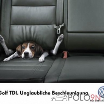 Mitglieder-Profil von Bjoern(#5688) - Bjoern präsentiert auf der Community polo9N.info seinen VW Polo