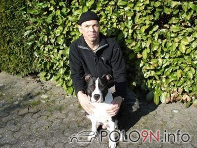 Mein Hund
(American Staffordshire)  und Ich