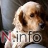 Profilbilder von Bored31