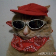 Profilbilder von Butch