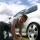 Mitglieder-Profil von dino(#2319) - dino präsentiert auf der Community polo9N.info seinen VW Polo