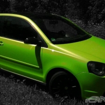 Mitglieder-Profil von Eddy87(#21477) aus Walsheim - Eddy87 präsentiert auf der Community polo9N.info seinen VW Polo