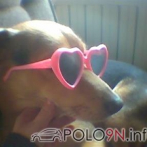 Mitglieder-Profil von istevano(#1964) aus - - istevano präsentiert auf der Community polo9N.info seinen VW Polo