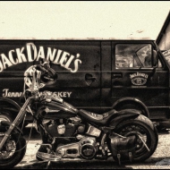 Profilbilder von JackyD