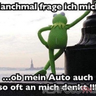 Profilbilder von Lemmy
