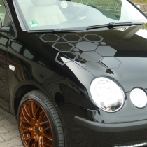 Mitglieder-Profil von Loti(#27604) aus Friedberg - Loti präsentiert auf der Community polo9N.info seinen VW Polo