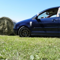 Mitglieder-Profil von moore(#665) - moore präsentiert auf der Community polo9N.info seinen VW Polo