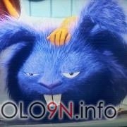 Mitglieder-Profil von Paktosan(#31657) - Paktosan präsentiert auf der Community polo9N.info seinen VW Polo