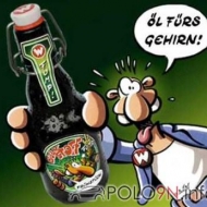 Profilbilder von polocross