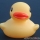 Mitglieder-Profil von rubber-duck(#37819) - rubber-duck präsentiert auf der Community polo9N.info seinen VW Polo