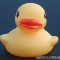 Mitglieder-Profil von rubber-duck(#37819) - rubber-duck präsentiert auf der Community polo9N.info seinen VW Polo