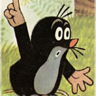 Profilbilder von Schmiddy