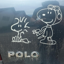 Mitglieder-Profil von SnoopyPolo(#39727) aus Bad Überkingen - SnoopyPolo präsentiert auf der Community polo9N.info seinen VW Polo