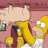 Profilbilder von spiderpig117