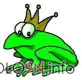 Mitglieder-Profil von THE FROG 16V(#21944) aus Mülheim an der Ruhr - THE FROG 16V präsentiert auf der Community polo9N.info seinen VW Polo