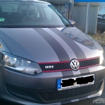 Mitglieder-Profil von Vw93(#24185) aus Tuttlingen - Vw93 präsentiert auf der Community polo9N.info seinen VW Polo