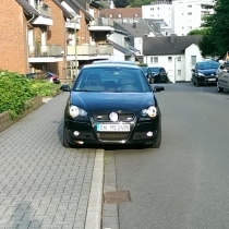 Mitglieder-Profil von VWPOLORACER(#31277) - VWPOLORACER präsentiert auf der Community polo9N.info seinen VW Polo