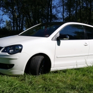 Profilbilder von Wildone
