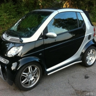 Smart von Kathy-Lynn