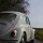 Gastfahrzeug VW 1500 Käfer  Modelljahr 1969 mit der Motorisierung 1500ccm in der Farbe  vom Mitglied 70erbug