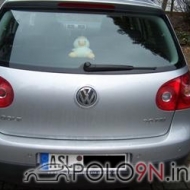 VW Golf V von polo 07